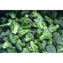 High Quality Frozen IQF Broccoli
